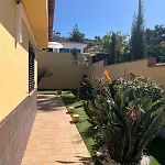Violeta El Sauzal